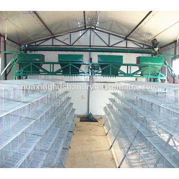 battery quail rearing cage for poultry layer quail farm